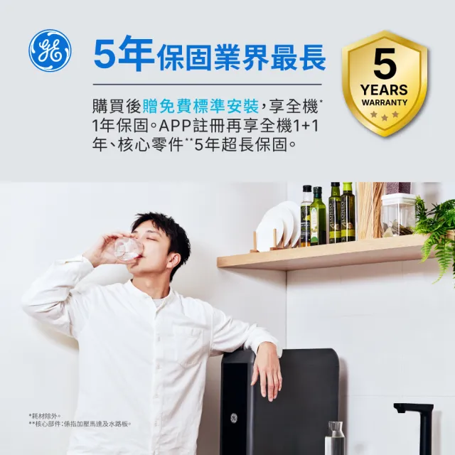 【GE 奇異】官方直營 極煦700G奈濾淨水器 (淨水+儲熱二合一)