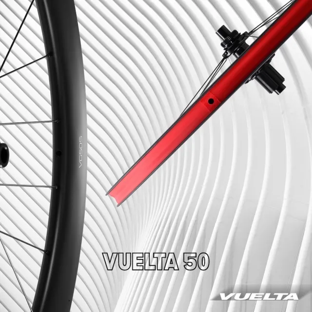 【GIANT】捷安特 VUELTA 系列 碳纖維 輪框 Sapim幅條 碟煞 中鎖式 輪組 公路車 自行車