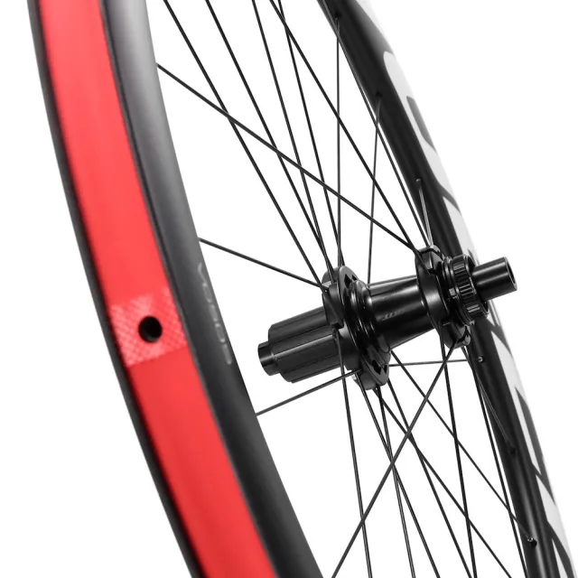 【GIANT】捷安特 VUELTA 系列 碳纖維 輪框 Sapim幅條 碟煞 中鎖式 輪組 公路車 自行車