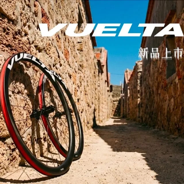 【GIANT】捷安特 VUELTA 系列 碳纖維 輪框 Sapim幅條 碟煞 中鎖式 輪組 公路車 自行車