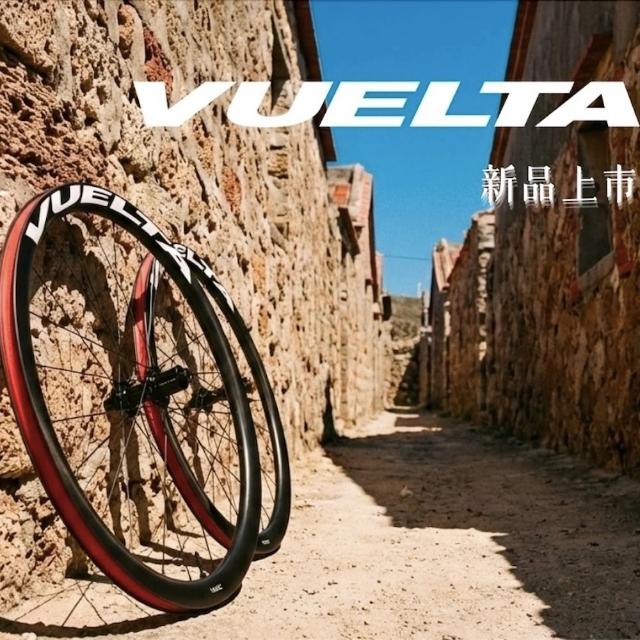 【GIANT】捷安特 VUELTA PRO 系列 碳纖維 鋼絲 輪框 碟煞 中鎖式 輪組 公路車 自行車
