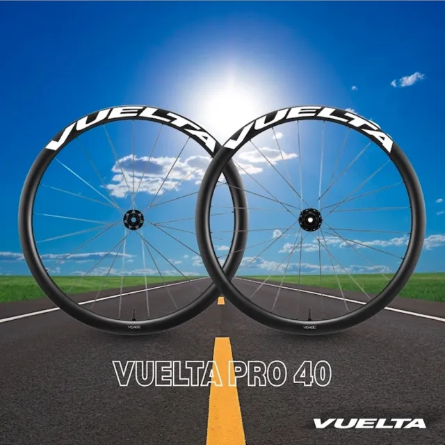 【GIANT】捷安特 VUELTA PRO 系列 碳纖維 鋼絲 輪框 碟煞 中鎖式 輪組 公路車 自行車