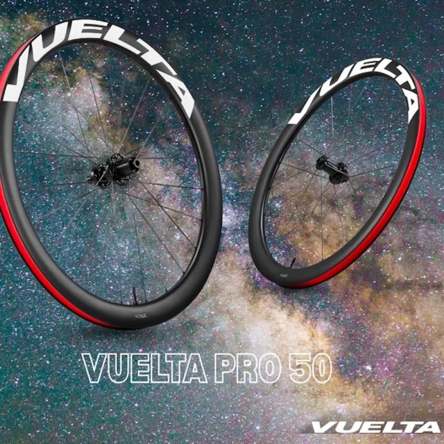 【GIANT】捷安特 VUELTA PRO 系列 碳纖維 鋼絲 輪框 碟煞 中鎖式 輪組 公路車 自行車