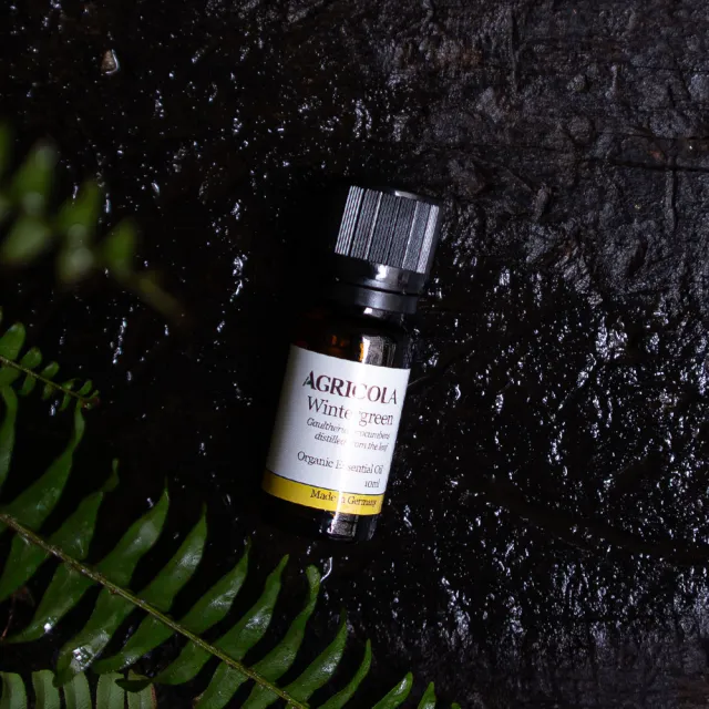 【Agricola 植物者】冬青（白株樹）精油 10ml/ 歐盟有機認證(德國原裝進口 純植物萃取 天然擴香)