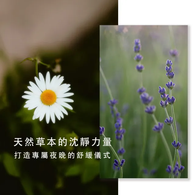 【Agricola 植物者】無憂舒眠噴霧50ml(幫助睡眠/織品&空間噴霧/舒眠)