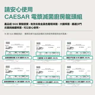 【CAESAR 凱撒衛浴】電漿滅菌廚房龍頭組 固定款 (含基本安裝/廚房龍頭/檯面龍頭/抑菌/除水性農藥)
