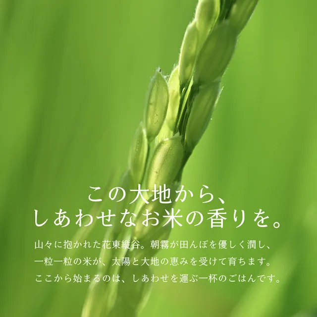 【樂米穀場】台東關山農會經典香米2kg (日式料理指定採用 / 中元普渡拜拜)