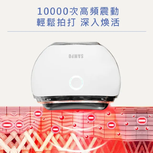 【SAMPO 聲寶】緊緻美顏溫感震動按摩儀/美容儀/臉部拉提(FY-Z2401DL)