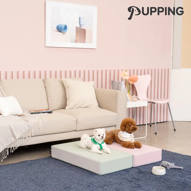 【PUPPING】韓國寵物防滑平台(3色可選)