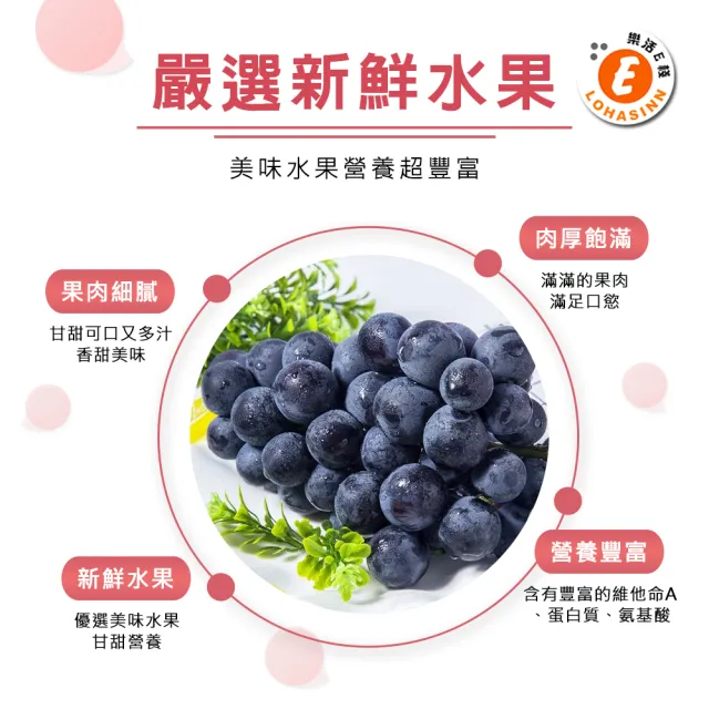 【樂活e棧】繽紛蒟蒻水果冰粽-葡萄口味8顆x2盒(端午 粽子 甜點 全素)