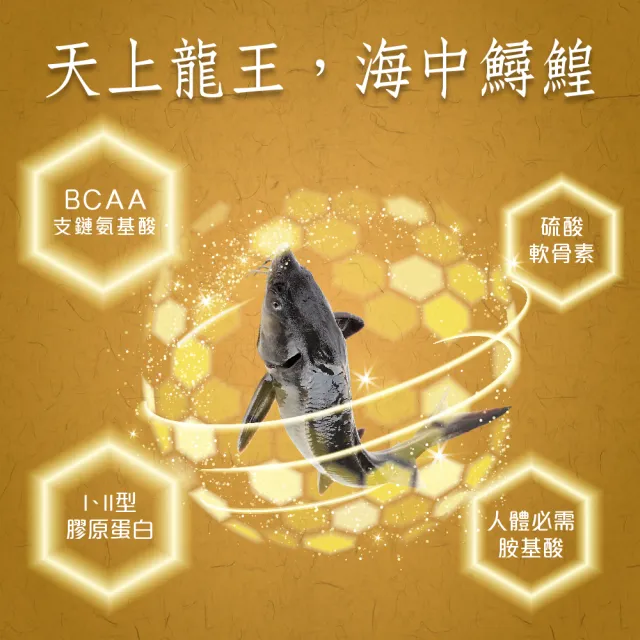【華陀扶元堂】龜鹿鱘膠原鍵行錠10盒組(30錠/盒;陳美鳳代言-二型膠原蛋白/軟骨素/玻尿酸)77購物節