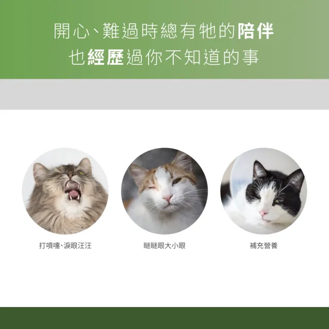 【PROUDPET 嬌寵醫生】極精萃｜100%左旋純離胺酸 60顆(寵物保健/貓保健/黑酵母添加/貓呼吸道健康)