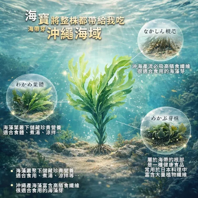 日本 海寶 沖繩限定 沖泡式海帶芽湯 75g(紅標/白標)