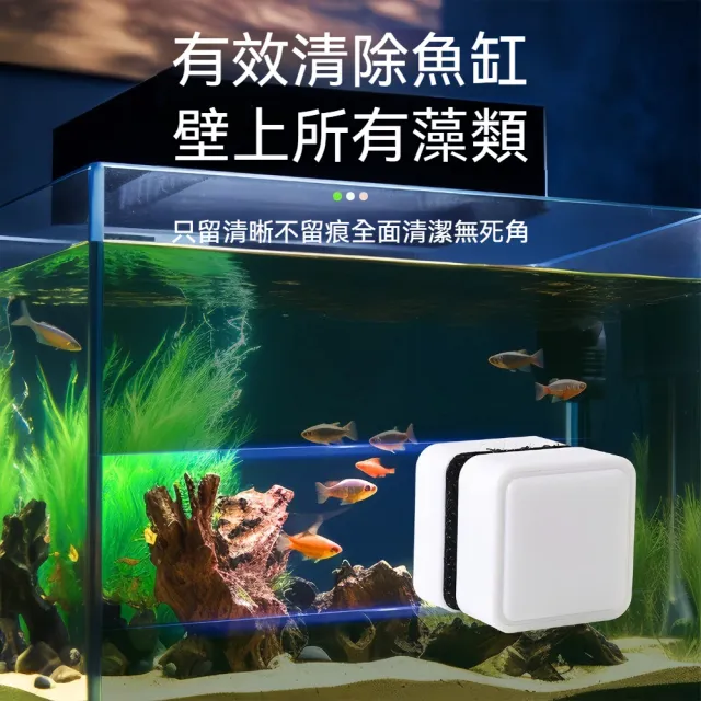 雙面清潔強力磁吸魚缸清潔刷 迷你方塊雙材質刷毛魚缸磁力刷-1入