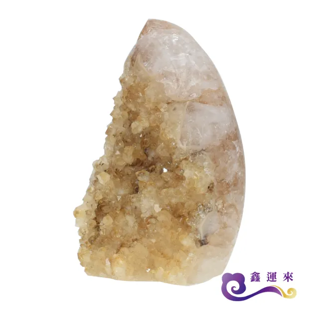 【鑫運來】◎黃水晶火苗晶鎮(500g-600g)