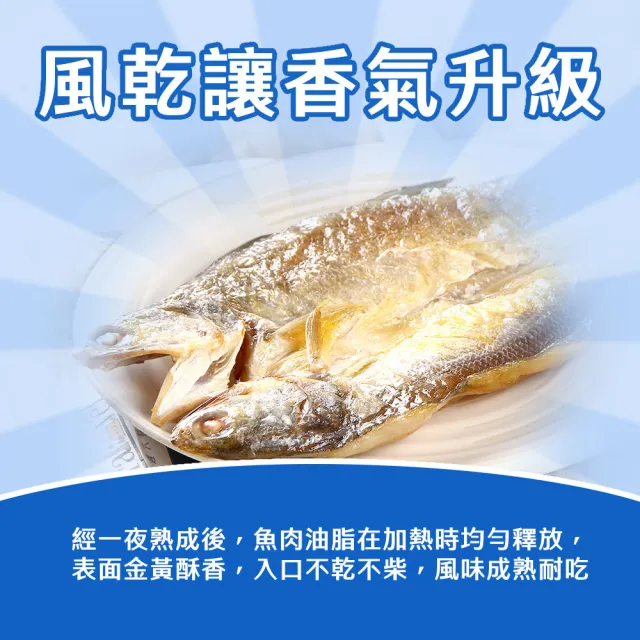 新鮮牧場 金賞竹筴魚一夜干*5包組 (2隻裝/330g±10%/包) 鮮美 入味 香甜 紮實 嚴選