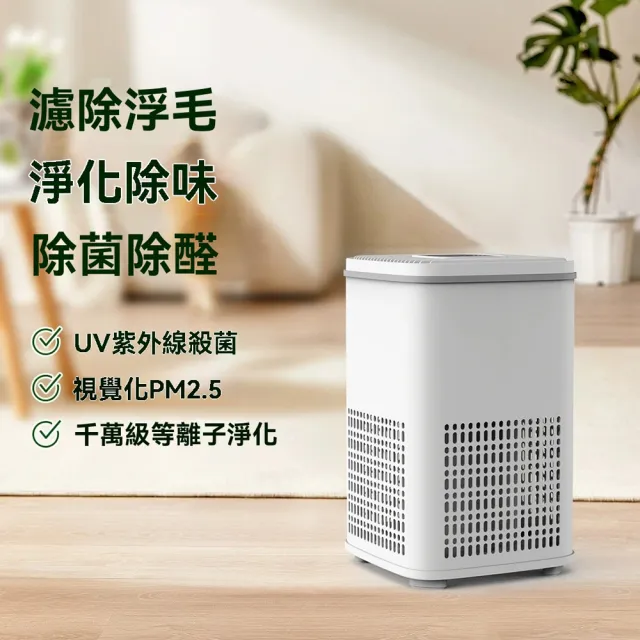 【IPSKY】立式空氣清淨機（強力吸浮毛 除菌除臭 寵物空氣清淨機 空氣淨化器 人寵淨化器 40坪適用）