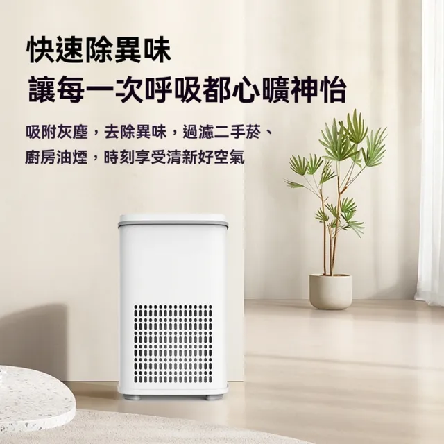 【IPSKY】立式空氣清淨機（強力吸浮毛 除菌除臭 寵物空氣清淨機 空氣淨化器 人寵淨化器 40坪適用）