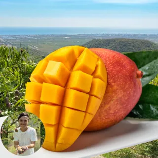 【初品果】屏東青農楊忠憲-枋山阿憲愛文芒果禮盒5斤9-12顆x1盒(中小果_山頂上的愛文芒果_禮盒)