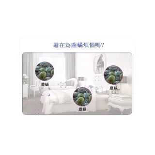 【ROYAL LIFE 皇室生活】強效吸塵蟎吸跳蚤貼-每袋3包 4入組(消除塵蟎/塵蟎片/除蟎片/誘補貼/除蟎貼片)