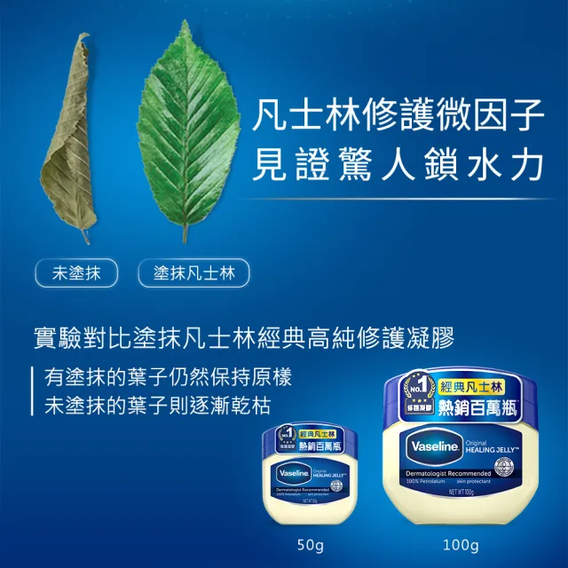 【Vaseline 凡士林】官方直營 經典高純修護凝膠50g 12入_箱購