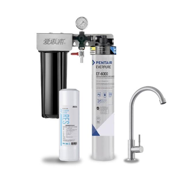 【EVERPURE 愛惠浦】櫥下型 PURVIVE Duo-EF6000大流量不鏽鋼龍頭兩道式生飲淨水器(前置樹脂)