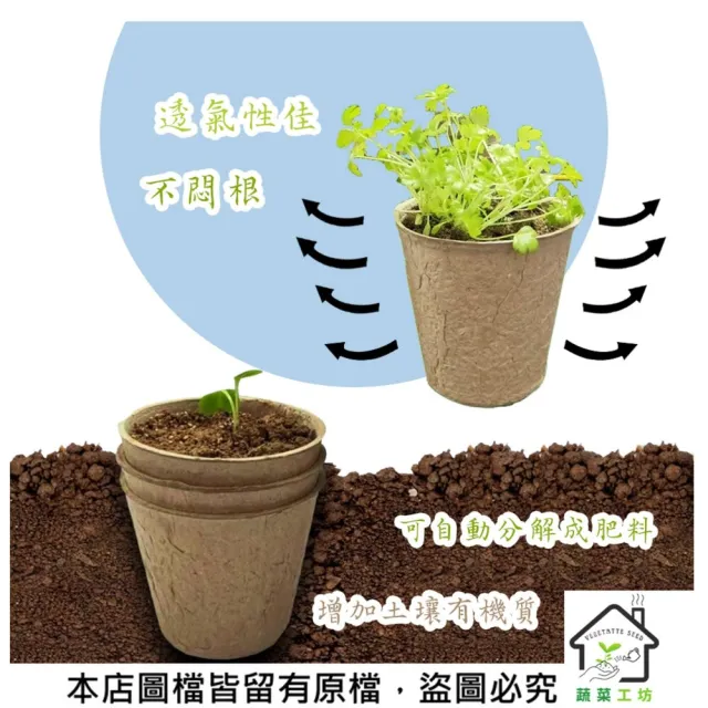 【蔬菜工坊】可降解紙漿育苗杯 6公分 (小圓、小方形)育苗盤 育苗盆 環保盆 紙花盆 育苗器 營養缽 營養盆