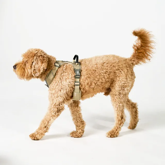 【DOG Copenhagen】丹麥犬胸背帶Pro款-XL(狗狗專用 頂級旗艦 舒適好操控)