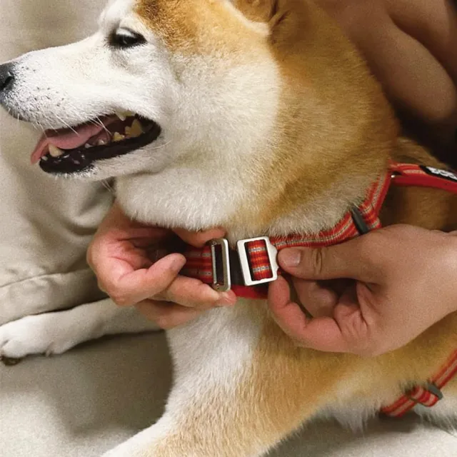 【DOG Copenhagen】丹麥犬胸背帶Air款-M(狗狗專用 透氣輕盈 不套頭設計)