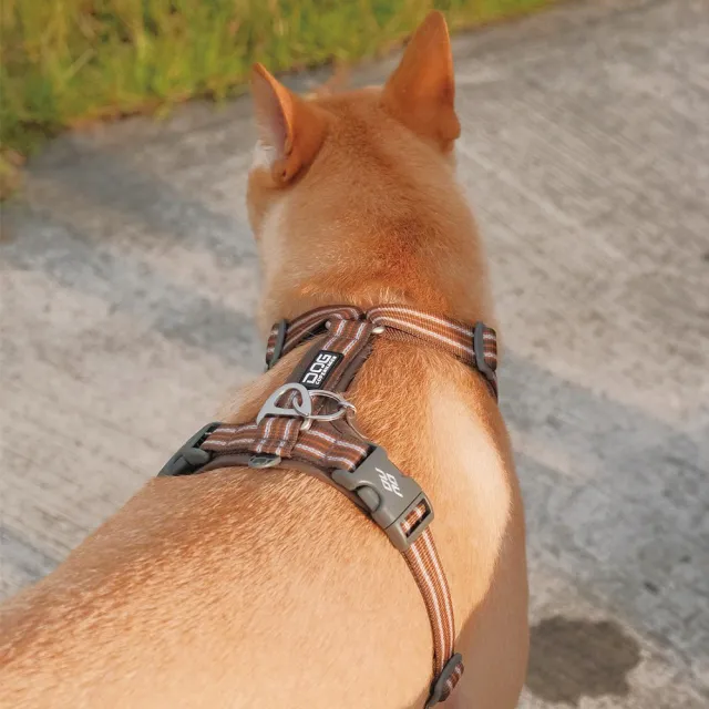 【DOG Copenhagen】丹麥犬胸背帶Air款-M(狗狗專用 透氣輕盈 不套頭設計)