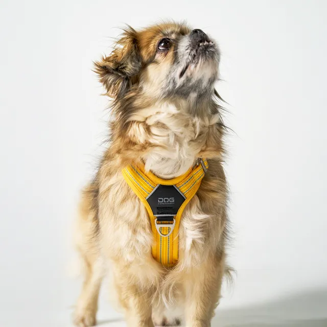 【DOG Copenhagen】丹麥犬胸背帶Air款-L(狗狗專用 透氣輕盈 不套頭設計)