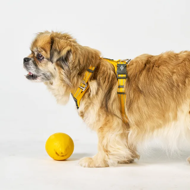 【DOG Copenhagen】丹麥犬胸背帶Air款-L(狗狗專用 透氣輕盈 不套頭設計)