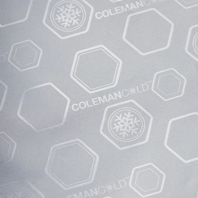 【Coleman】30L保冷袋(保冷袋 保冰袋 野餐袋 便當袋 購物袋)