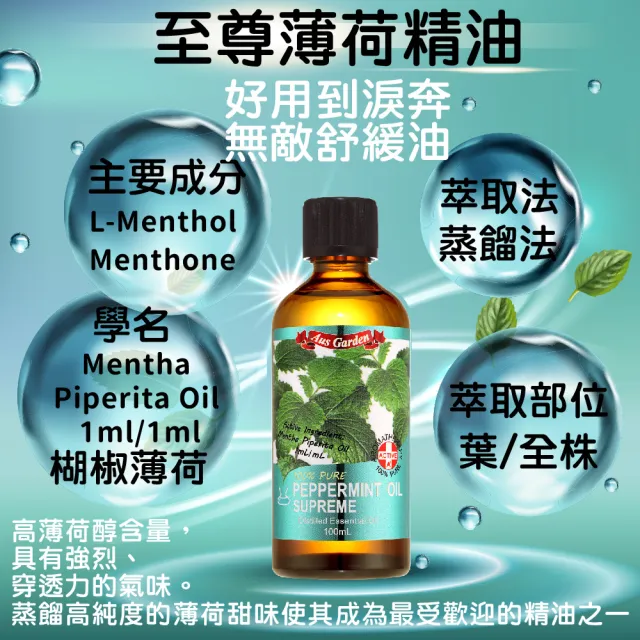 【Ausgarden 澳維花園】大容量精油100mlx2入(任選/至尊薄荷/醒目薰衣草/茶樹/藍膠尤加利 任選)禮物/