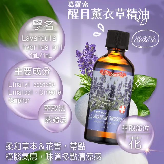 【Ausgarden 澳維花園】大容量精油100mlx2入(任選/至尊薄荷/醒目薰衣草/茶樹/藍膠尤加利 任選)禮物/