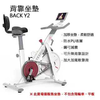 【X-BIKE】健身車/飛輪 靠背坐墊 可升降加大加寬加厚軟靠背 防水PU表層 鋼弓減震 自行車可用(BACK Y2)
