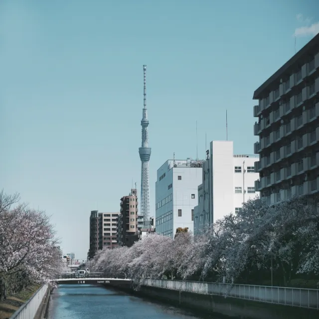 09-10月出發東京五日自由行★酷航+瑞江第一(含行李/兩人一室-單人券)