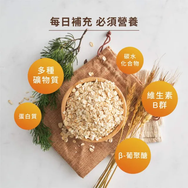【The Chala 蕎拉燕麥】嚴選即食大燕麥片(600g/包)
