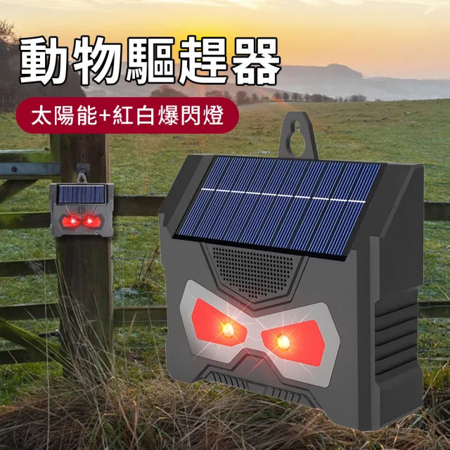 | BALIMAN情報局 【2026】驅鼠器推薦|10款高評價人氣品牌排行榜 | BALIMAN情報局