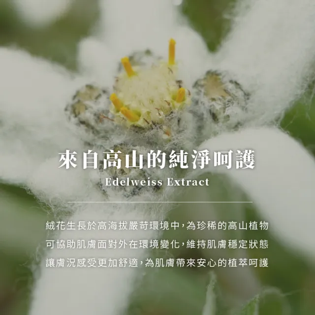 Sample.打漾 HR08 黑曜經典極致修護霜 50g (玻色因抗老撫紋│B3提亮膚色│細緻毛孔│深層滋潤)