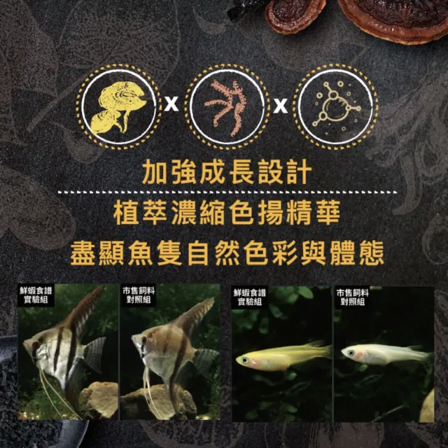 【Ultra Fresh 鮮蝦食譜】挑嘴熱帶魚-繁殖增色成長薄片1150ml(燈魚 慈鯛 神仙魚 卵胎生魚 魚飼料)