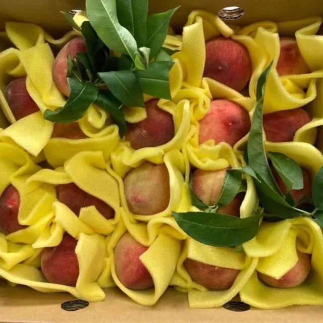 【黑貓嚴選】《喜樂拉拉山》一口水蜜桃禮盒(13~20粒/1200g/盒)