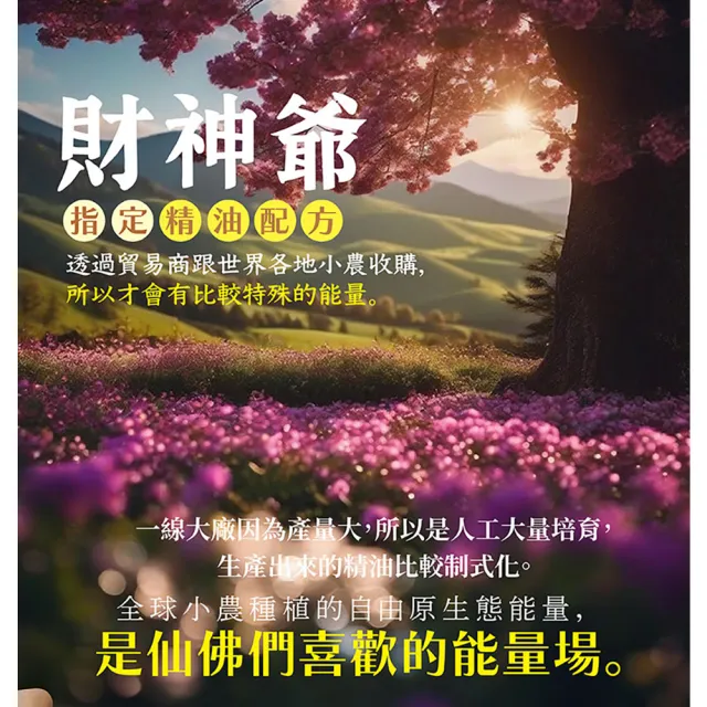 【古寶無患子】財貴雙全噴霧組 (迎財神噴霧 250G+貴人噴霧250G)