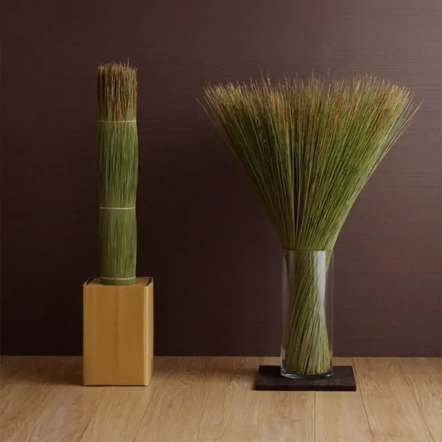 【IKEHIKO】原生藺草束GrassObject｜☆10x95cm｜1件｜日式雜貨｜花藝束