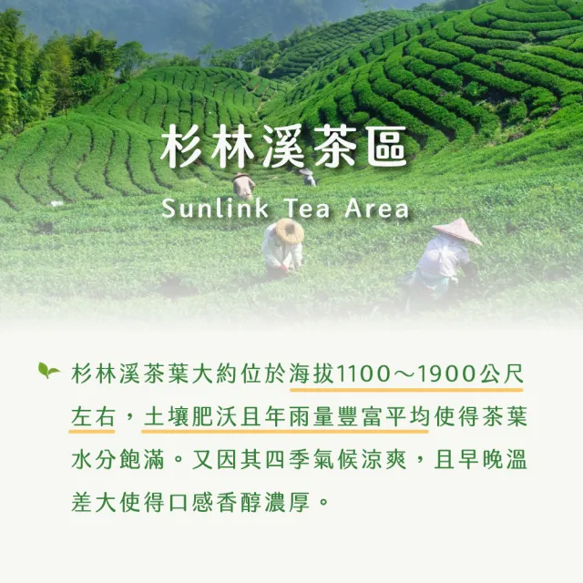 【xiao de tea 茶曉得】杉林溪三層坪雲霧冷淬烏龍茶葉(75gx8包-共1斤)