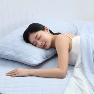 【Tonia Nicole 東妮寢飾】TopCool冰凍銀抗菌涼感墊/涼感保潔墊-八色任選(特大)