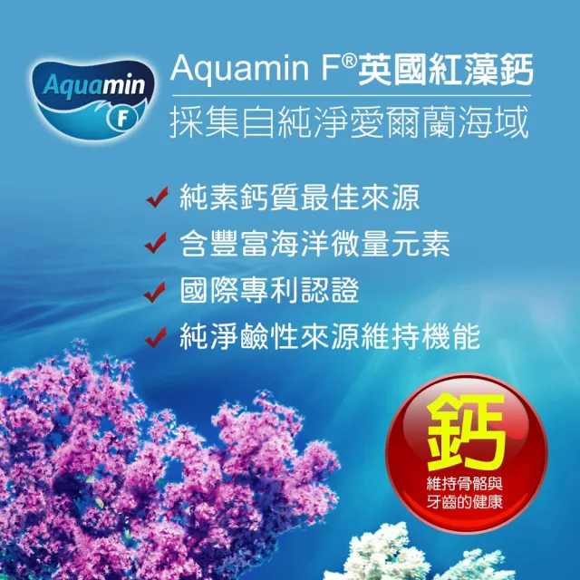 【愛善那】英國愛爾蘭專利海藻鈣素食膠囊x3 共90顆(四合一全方位補鈣 一次到位)