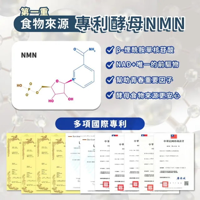 【JoyHui 佳悅】核佳康NMN膠囊4盒(共120粒、酵母NMN+白藜蘆醇+菸鹼醯胺+雙重NAD+元素幫助青春美麗)