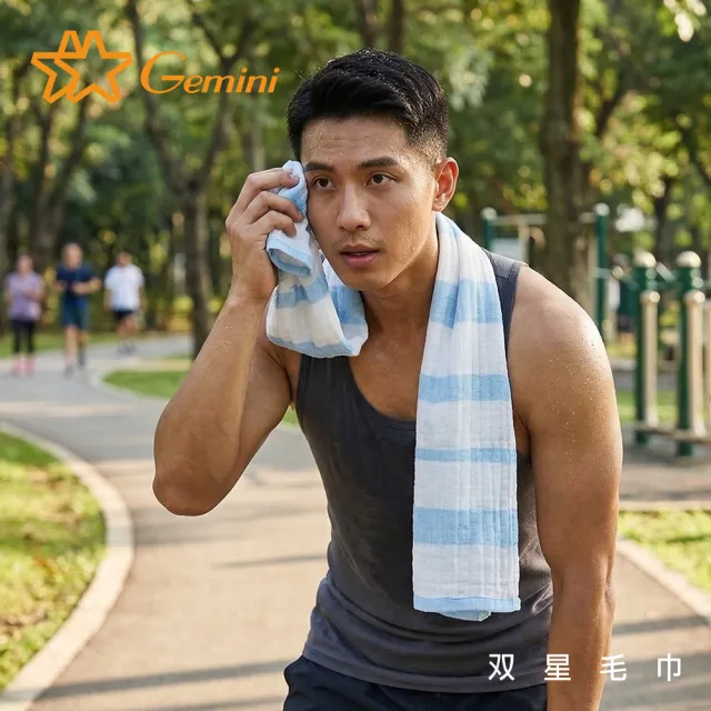 【Gemini 雙星】官方直營 超柔條紋四層紗運動毛巾(超值2入組-3色任選)
