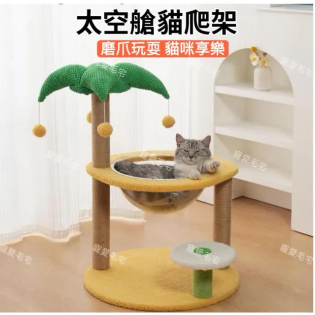 【2026】貓碗推薦10款高評價人氣品牌排行榜 | 好吃美食的八里人